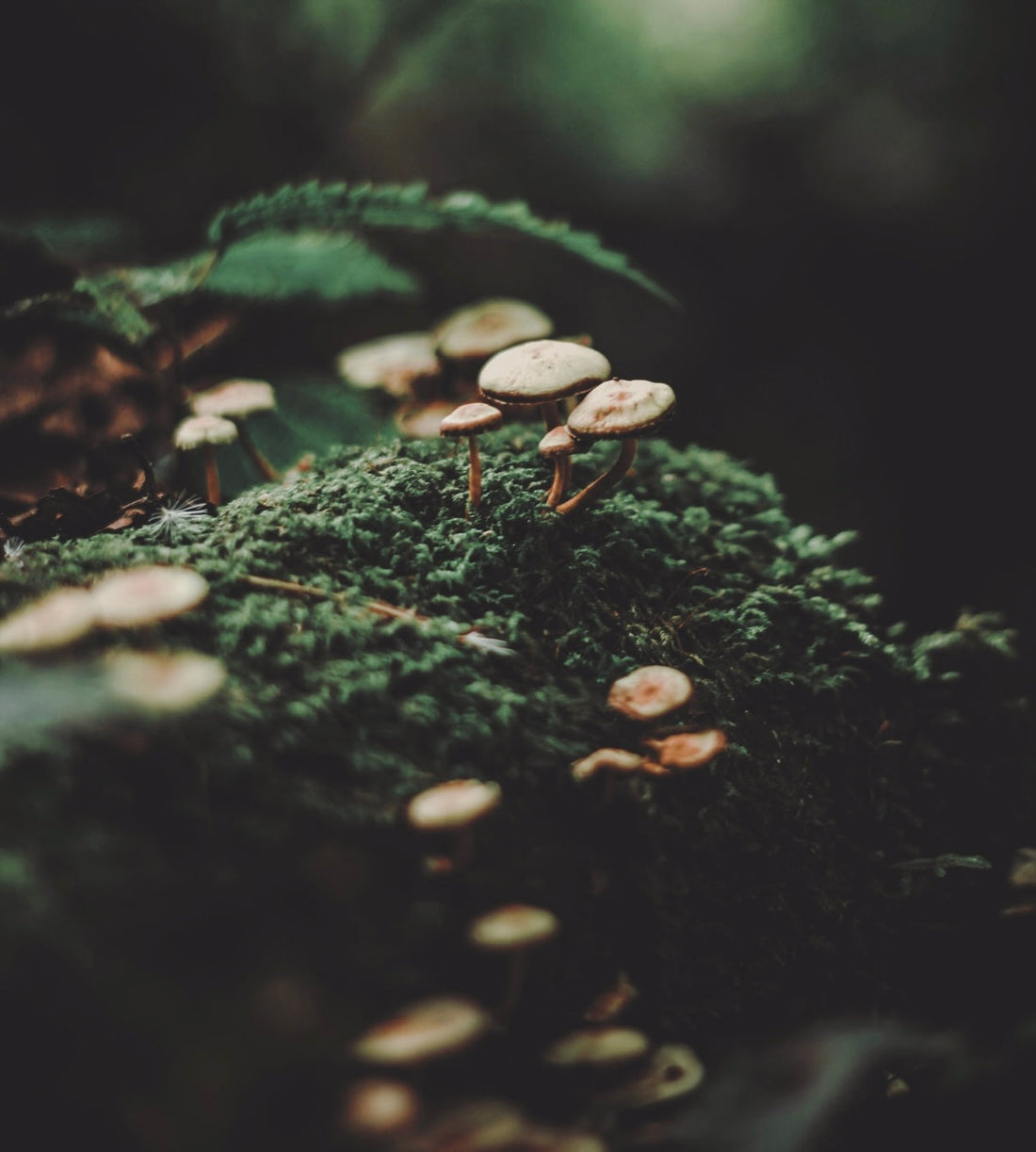 Why Conventional Elastane is Toxic — and Why the Biodegradable Elastane Used by Wellicious is No