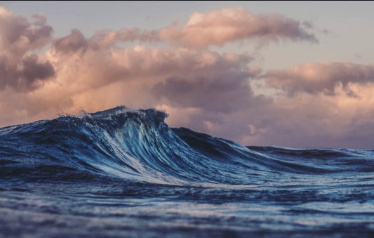 Why did Wellicious choose Cradle to Cradle certification?