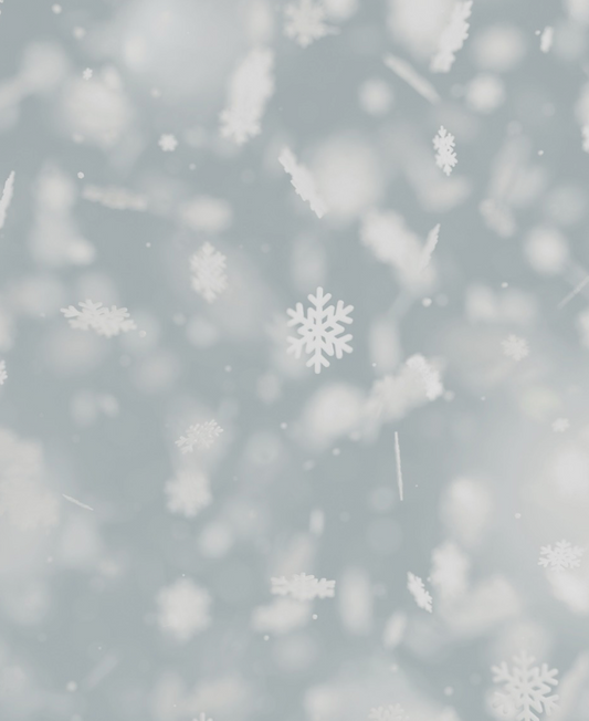 wellicious gift guide