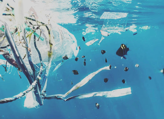 Why Wellicious Yoga & Activewear Clothing Does Not Shed Dangerous Microplastics